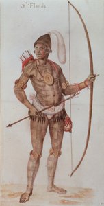 Hombre indio de Florida